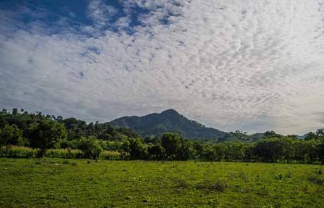 Finca los Castillos