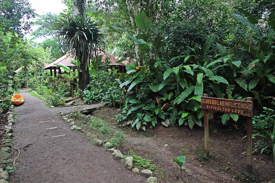 Refugio de Vida Silvestre los Guatuzos Papaturro