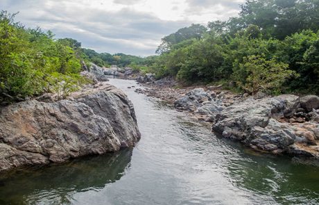 Río Gallo