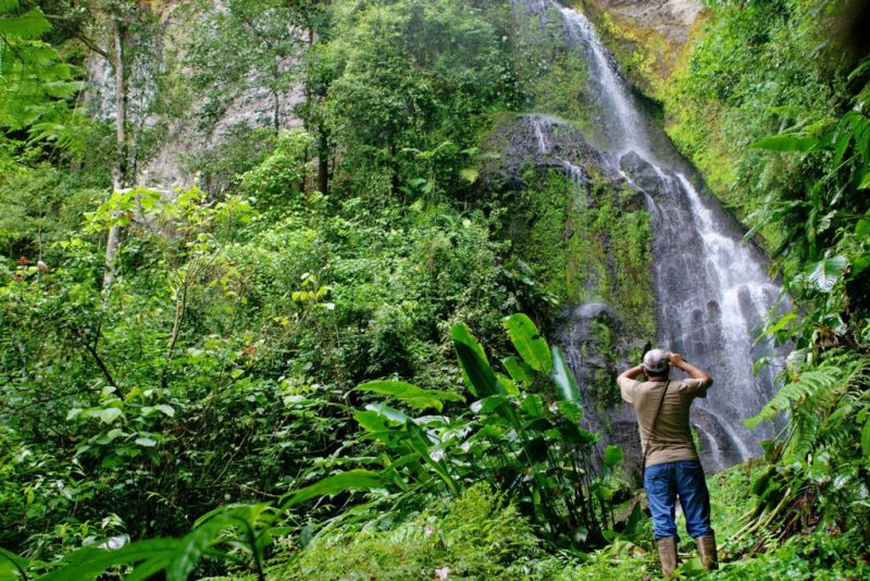 Caballo-Blanco_Jinotega-