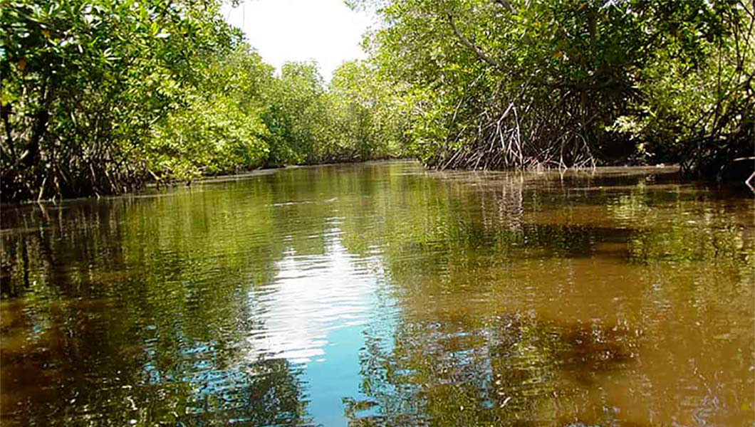 Isla-juan-venado