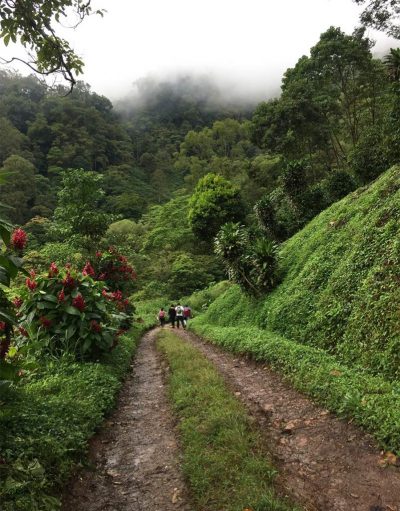 The-Bastille-Ecolodge-Jinotega