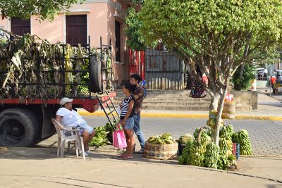 Comercio ambulante,bananos.