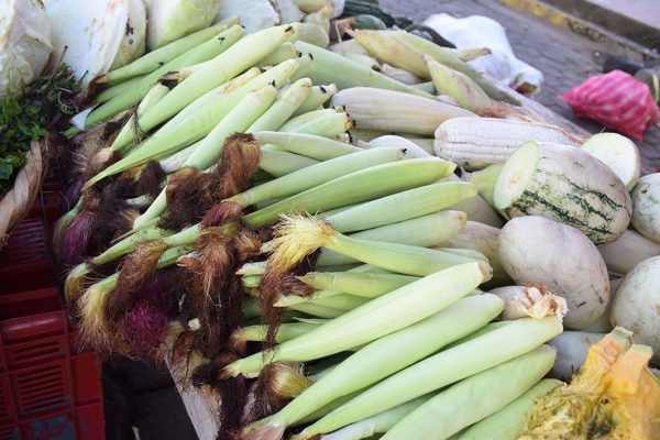 Sale of products harvested in the locality.