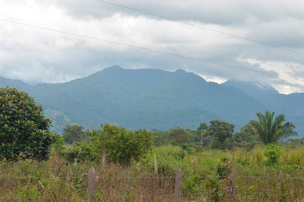 Cerro-Saslaya-Karibik-Nord