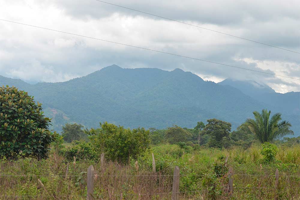 Cerro-Saslaya-Caribbean-North