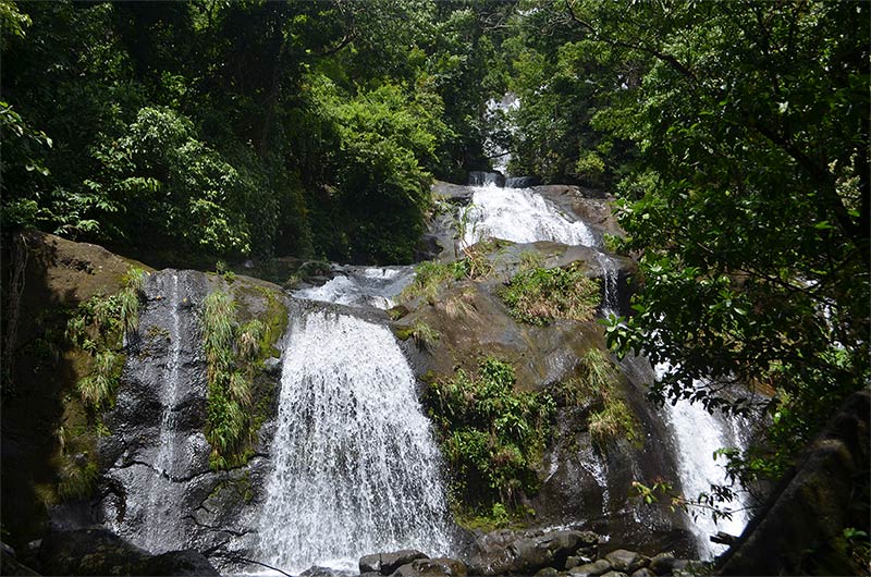 L'Hirondelle-Matagalpa