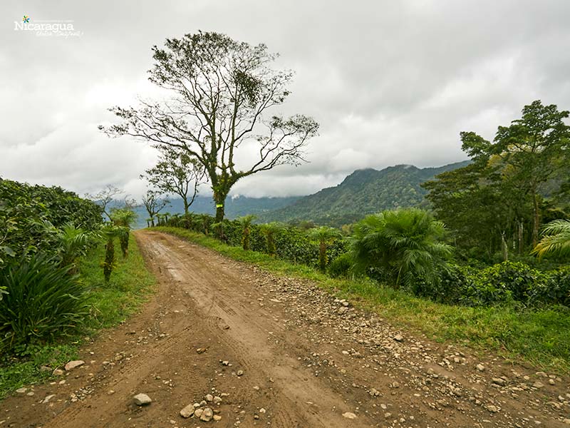 Reserva-El-Arenal-Matagalpa