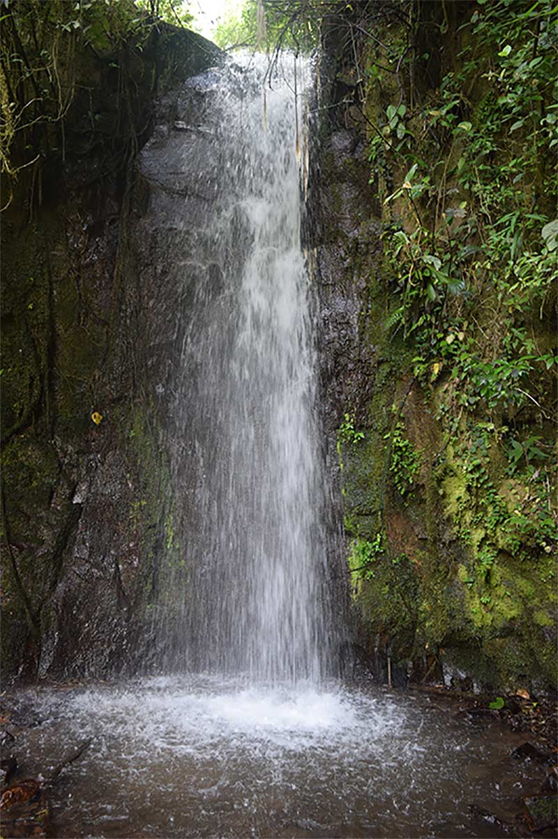 Reserva-Natural-Cerro-Frio,-La-Cumplida
