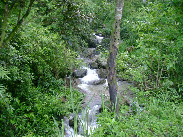 Riserva del torrente Yucul