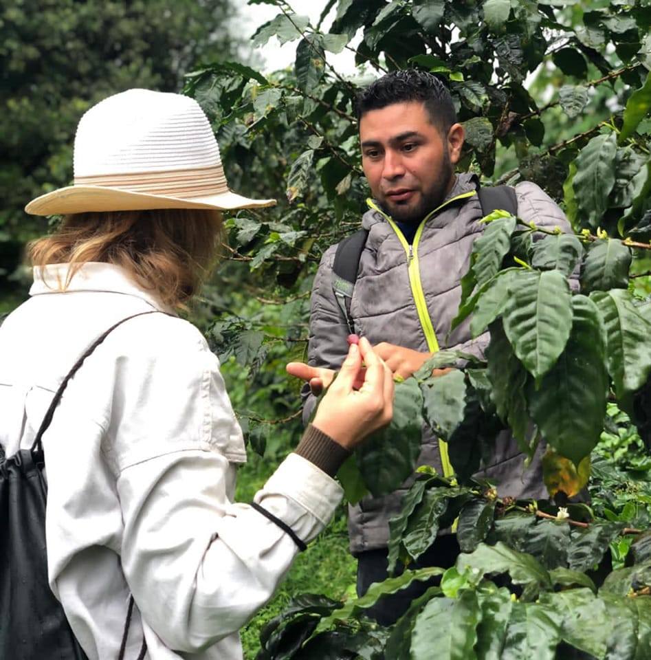 Tour de Café Finca Agroturística Don Chico
