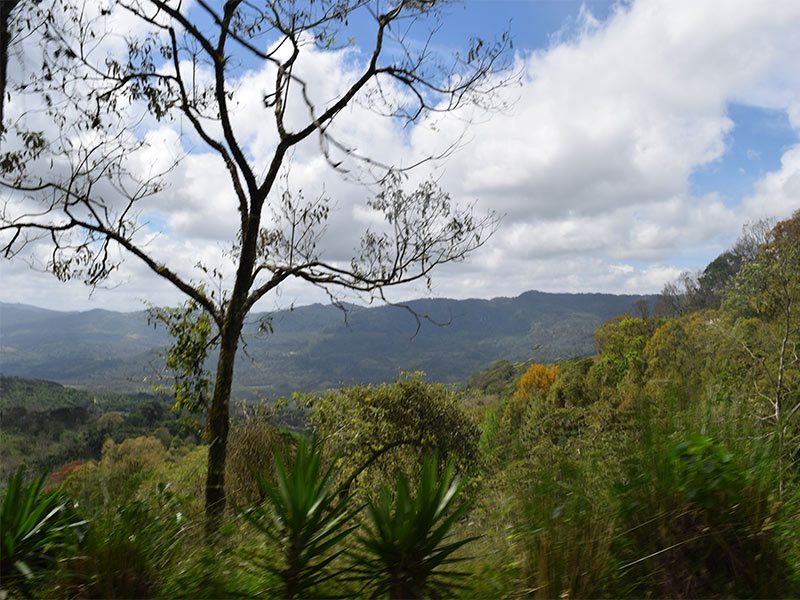 Vista-Reserva-Natural-Cerro-Frio-La-Cumplida