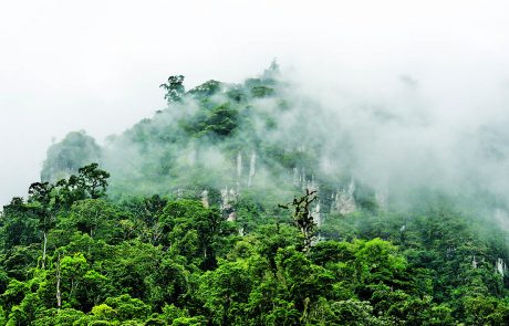 Reserva de Biósfera Bosawás