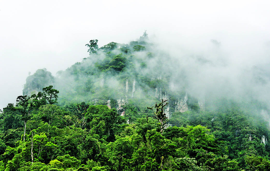 Reserva de Biósfera Bosawás