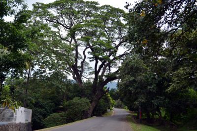 Carretera a San Lorenzo
