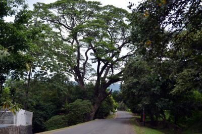 Straße nach San Lorenzo