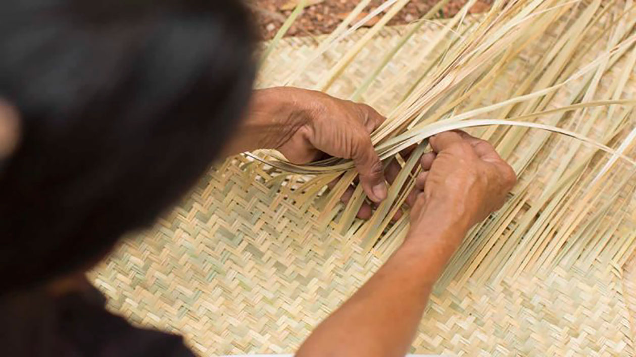Elaboración de petates Elabiración de petates - san francisco del norte