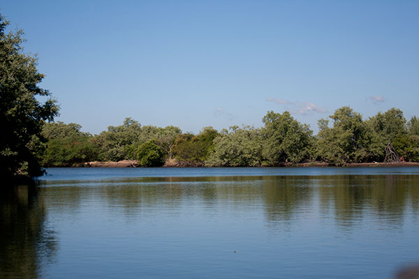 Estero El Tamarindo_lapazcentro_naturaleza_gal2