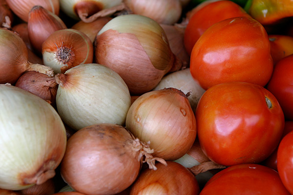 Producción de tomate y cebolla_achuapa_naturaleza_gal5