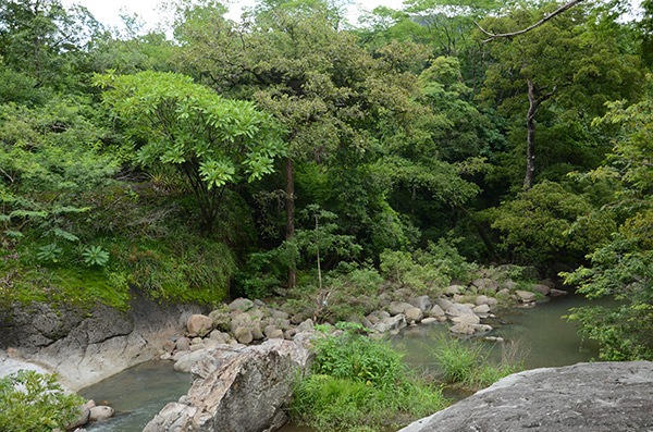 Achuapita River__naturaleza_gal3