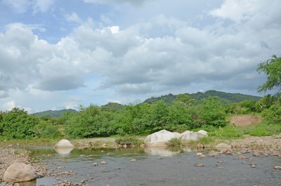 Río Sinecapa_eljicaral_naturaleza5