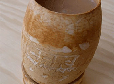 Semilla de Jicaro Semilla de Jicaro_semilla-de-jicaro