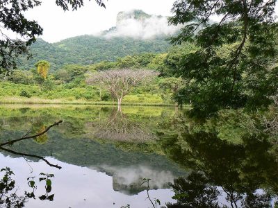 Sierra-de-Amerique.....-(Juigalpa)