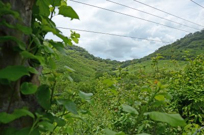 Terreno quebrada_eljicaral_naturaleza6