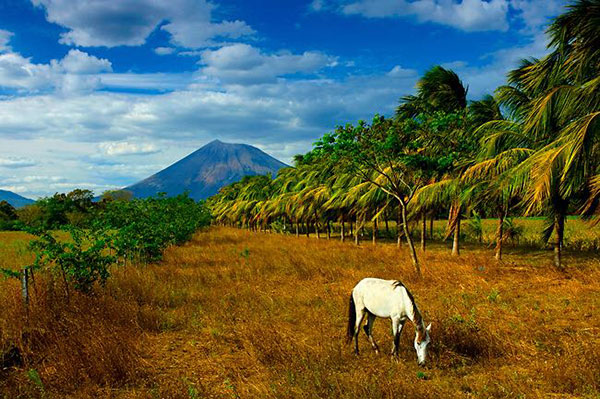 Pastaland, im Hintergrund der Vulkan San Cristóbal-Chinandega
