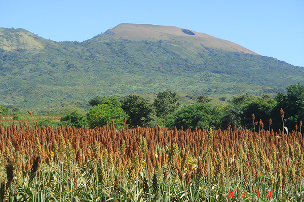 Volcán El Hoyo_lapazcentro_naturaleza_gal9