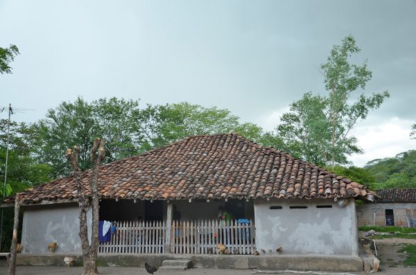 Bau_eljicaral_architecture1