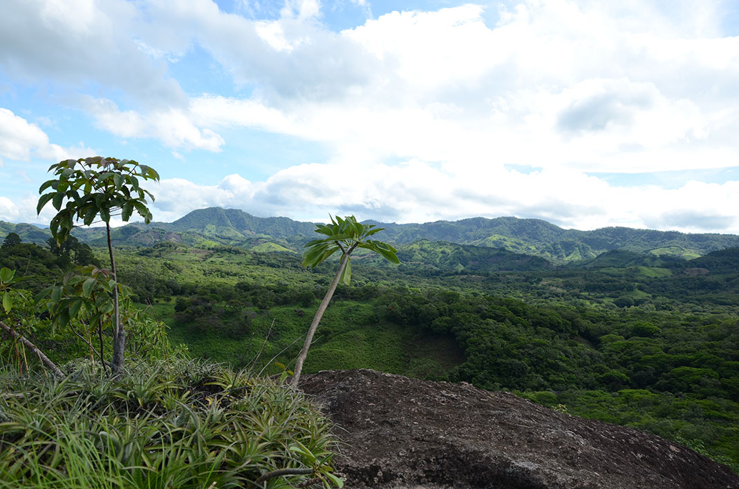 Cordillera de Horno Grande_achuapa_infogeneral2