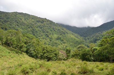 Cerro Musun, Río Blanco