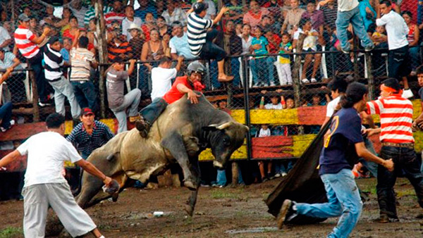 Corrida de toros_tipitapa_fiestasp_gal2