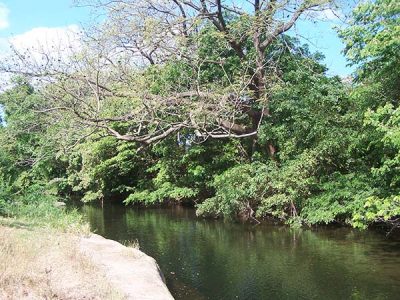 The Borbollón _villadelcarmen_naturaleza_gal_ (1)