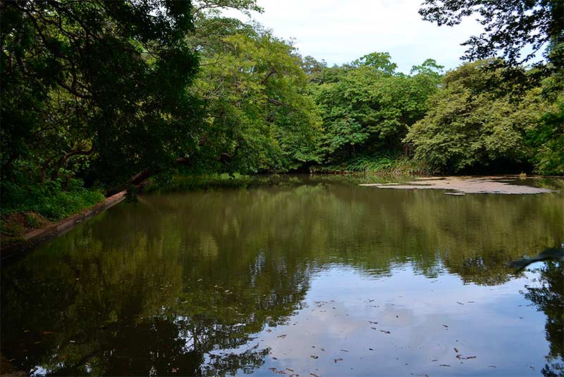 El-Borbollón_villadelcarmen_naturaleza3