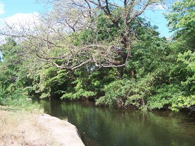 El Borbollón _villadelcarmen_naturaleza_gal_(1)