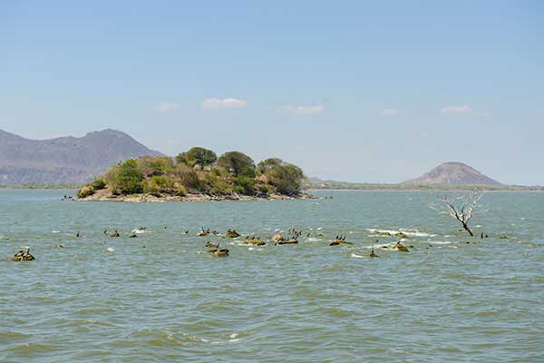 Lake Managua_managua_nature_gal4