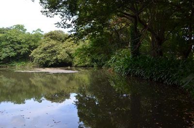 El Borbollón spring _villadelcarmen_naturaleza_gal_ (3)