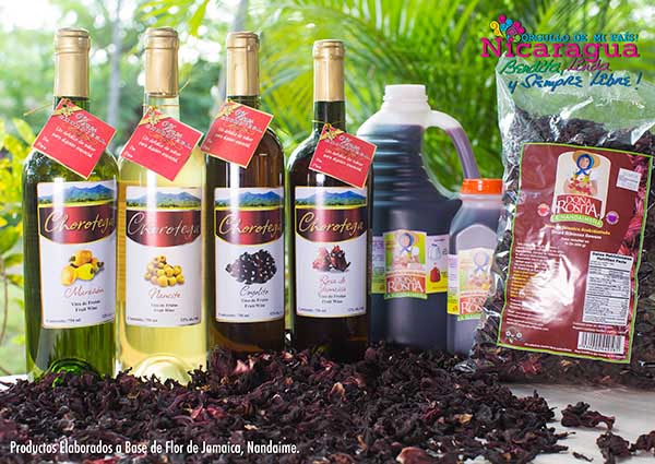 Productos elaborados a base de flor de jamaica_nandaime_naturaleza_gal3