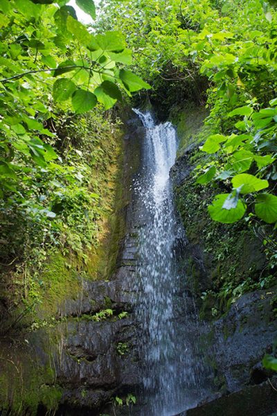 Refugio de Vida Silvestre Chocoyero-El Brujo_ticuantepe_naturaleza4