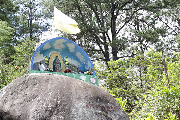 Virgin of the Stone