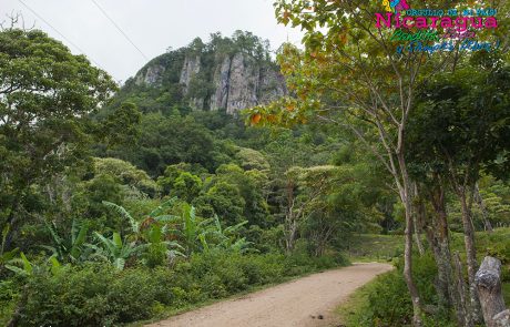 original_condega_naturaleza1