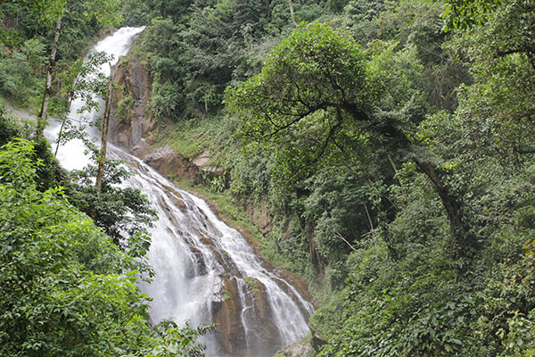 Salto del Rosario or the Morena Forest