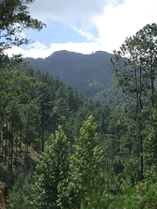 Cerro Mogotón