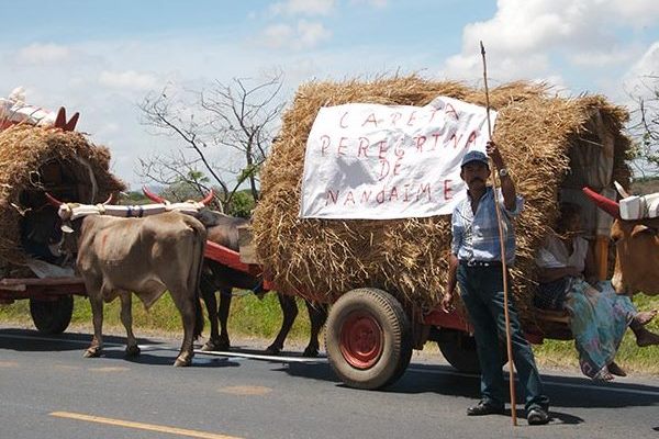 Pilgrim carts_nica_sscarretas_0013