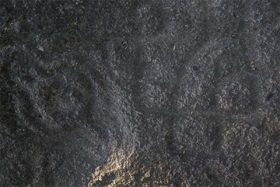 Petroglyphs in the El Cerro community