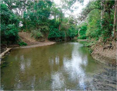 Gil Gonzalez River_belen_naturaleza_gal1