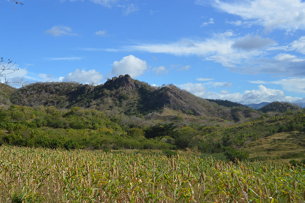 Piedra del Sapo