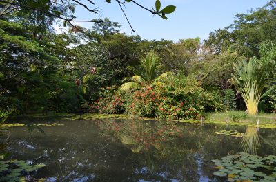 Aguas Termales La Coca